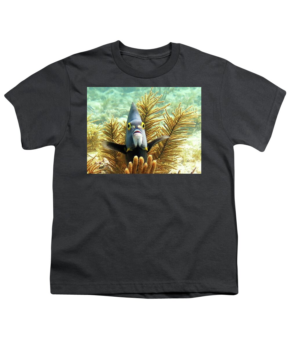 Underwater Youth T-Shirt featuring the photograph French Angelfish 3 by Daryl Duda