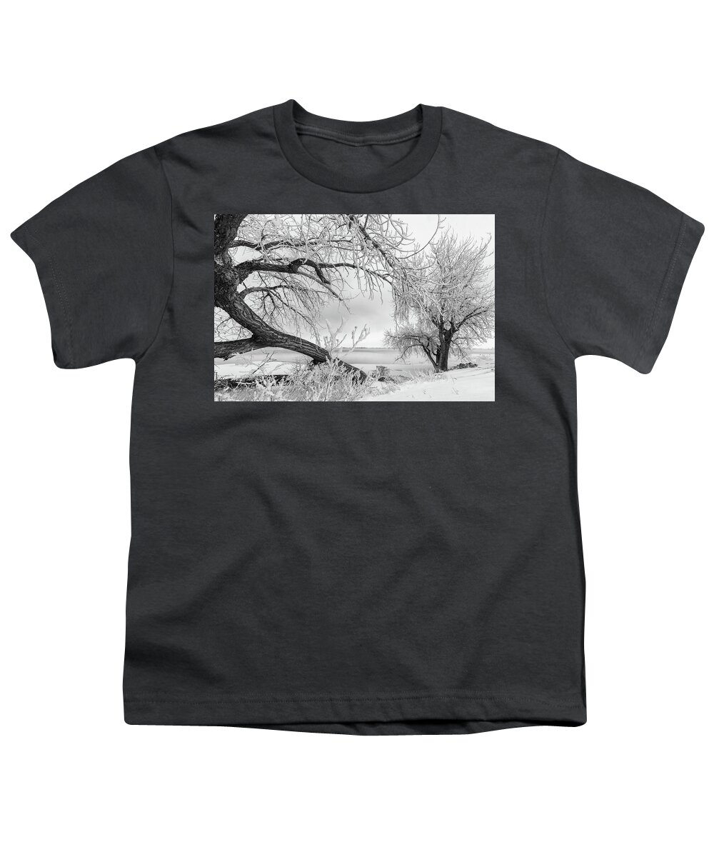 Landscape Youth T-Shirt featuring the photograph Frost and Snow Covered Trees on the Plains by Tony Hake