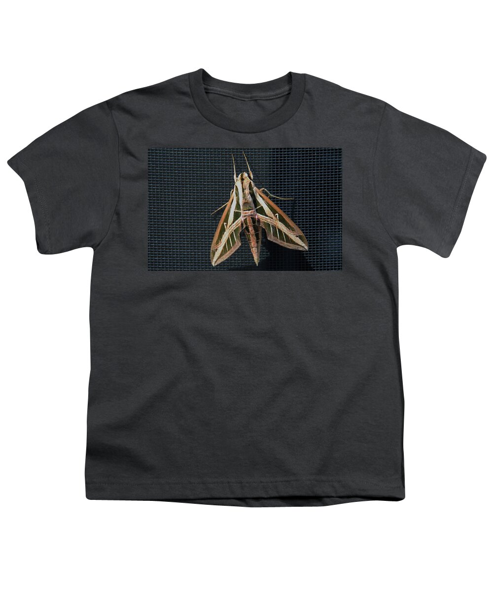Gallium Sphinx Moth Youth T-Shirt featuring the photograph Gallium Sphinx Moth by Michiale Schneider