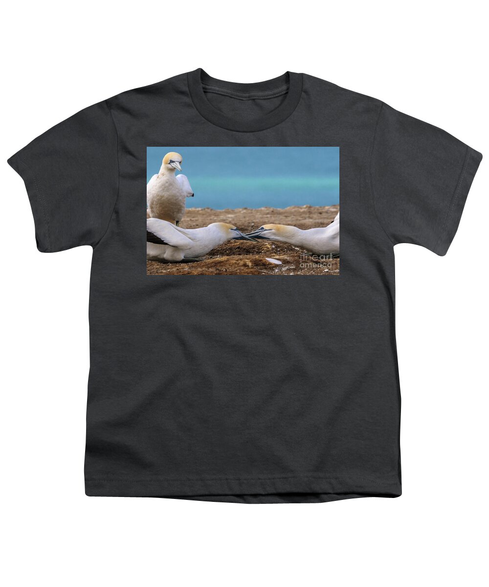 Gannet Youth T-Shirt featuring the photograph Gannets 3 by Werner Padarin