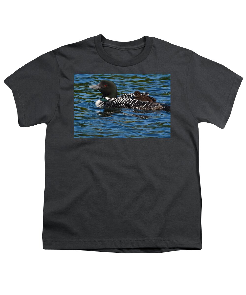 Birds Youth T-Shirt featuring the photograph Getting a Free Ride by Steve Brown