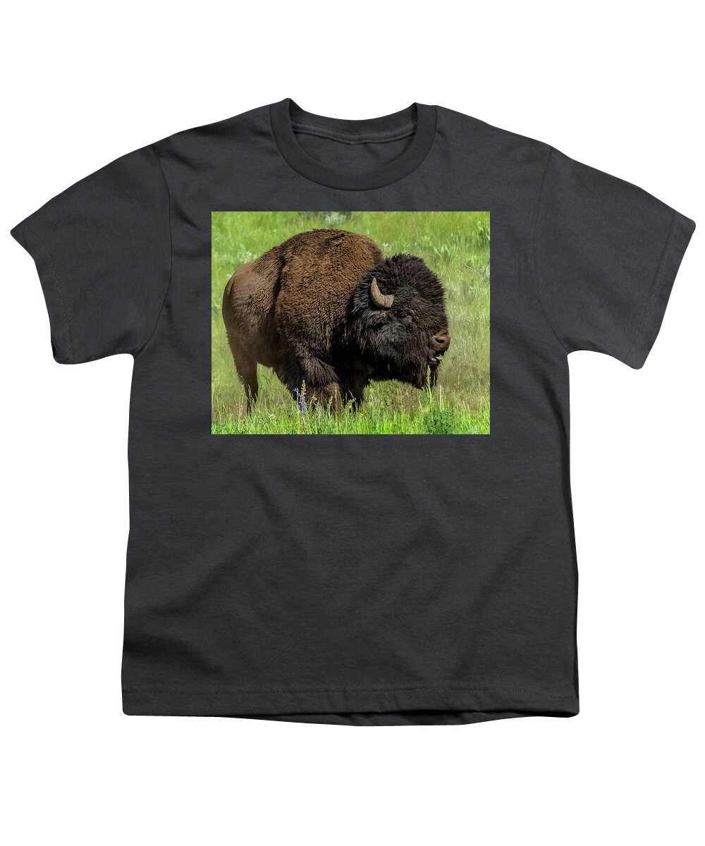 Bison Youth T-Shirt featuring the photograph Getting Ready For Rut by Yeates Photography