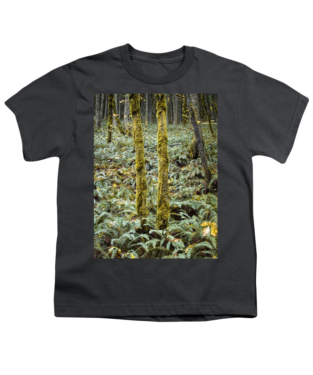 Fall Youth T-Shirt featuring the photograph Ghostly Forest by Jean Noren