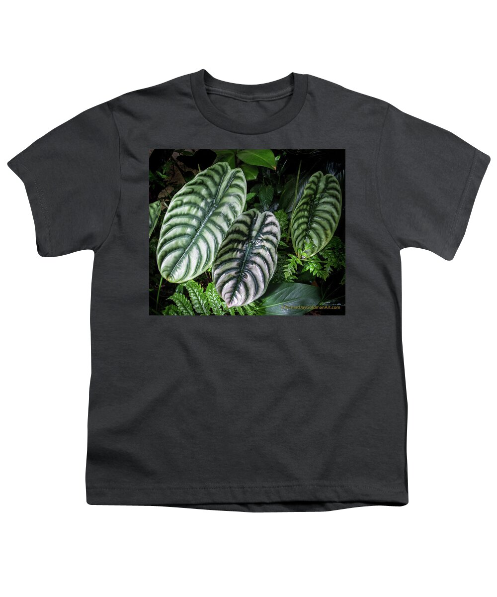 Selby Gardens Youth T-Shirt featuring the photograph Giant Calladium Leaves by Richard Goldman
