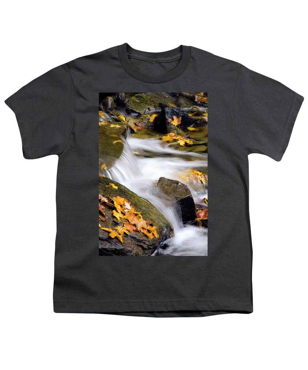 Fall Youth T-Shirt featuring the photograph Peaceful Autumn Creek by Christina Rollo
