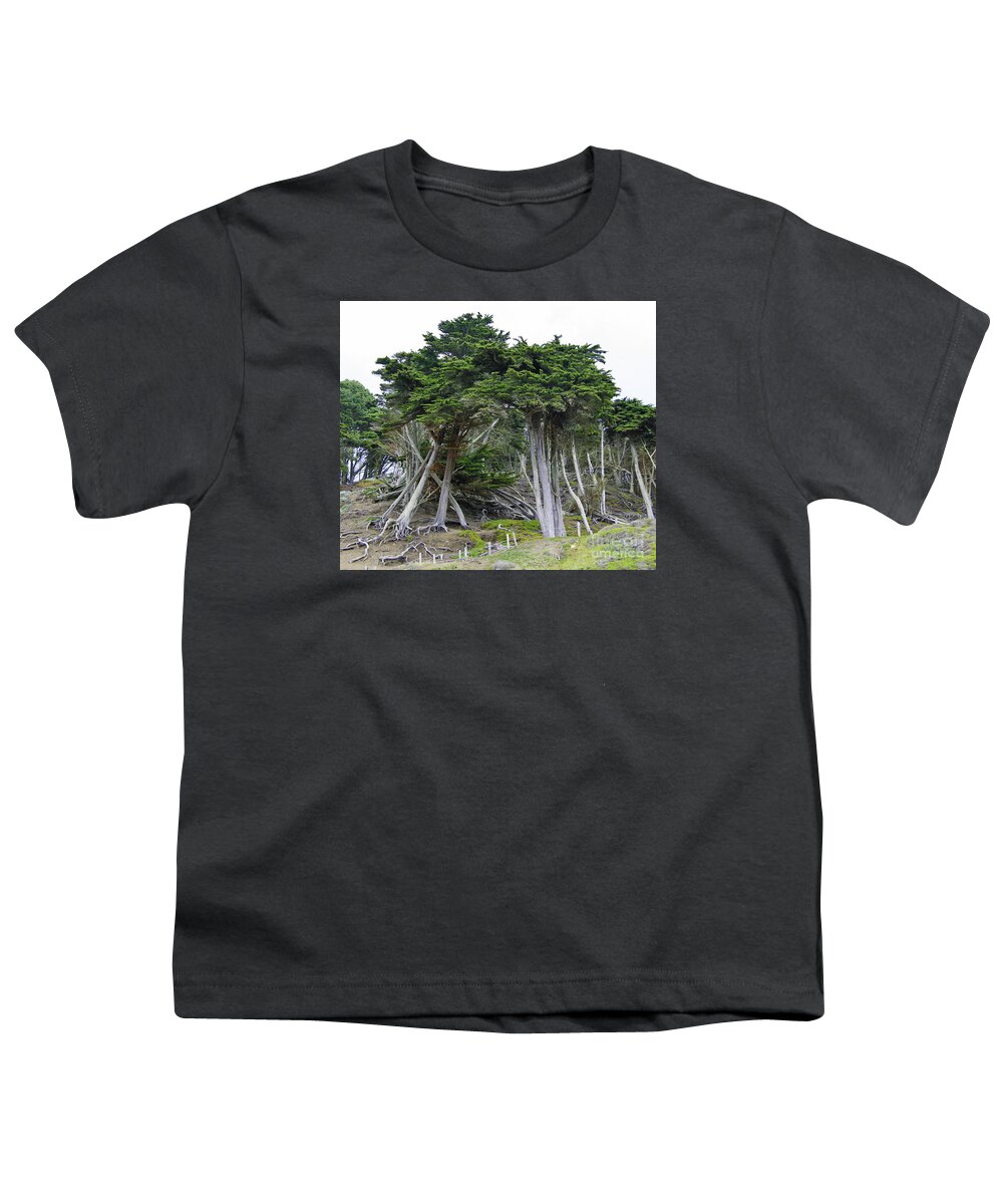 Golden Gate Youth T-Shirt featuring the photograph Golden Gate Sentinels by Joyce Creswell