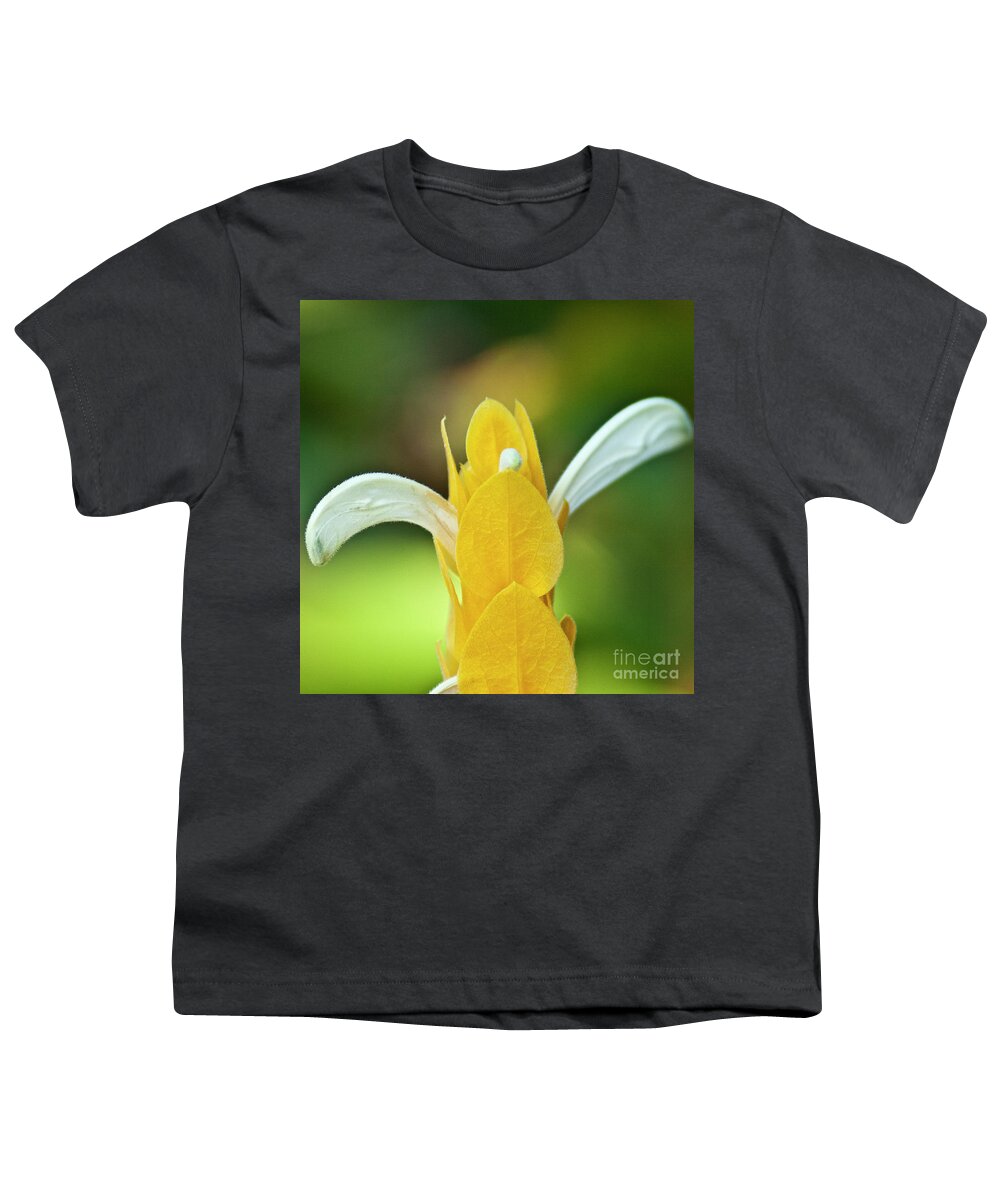 Flora Youth T-Shirt featuring the photograph Golden Shrimp Plant by Heiko Koehrer-Wagner