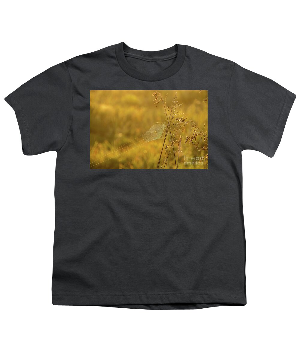 Cheryl Baxter Photography Youth T-Shirt featuring the photograph Golden Spider Web by Cheryl Baxter