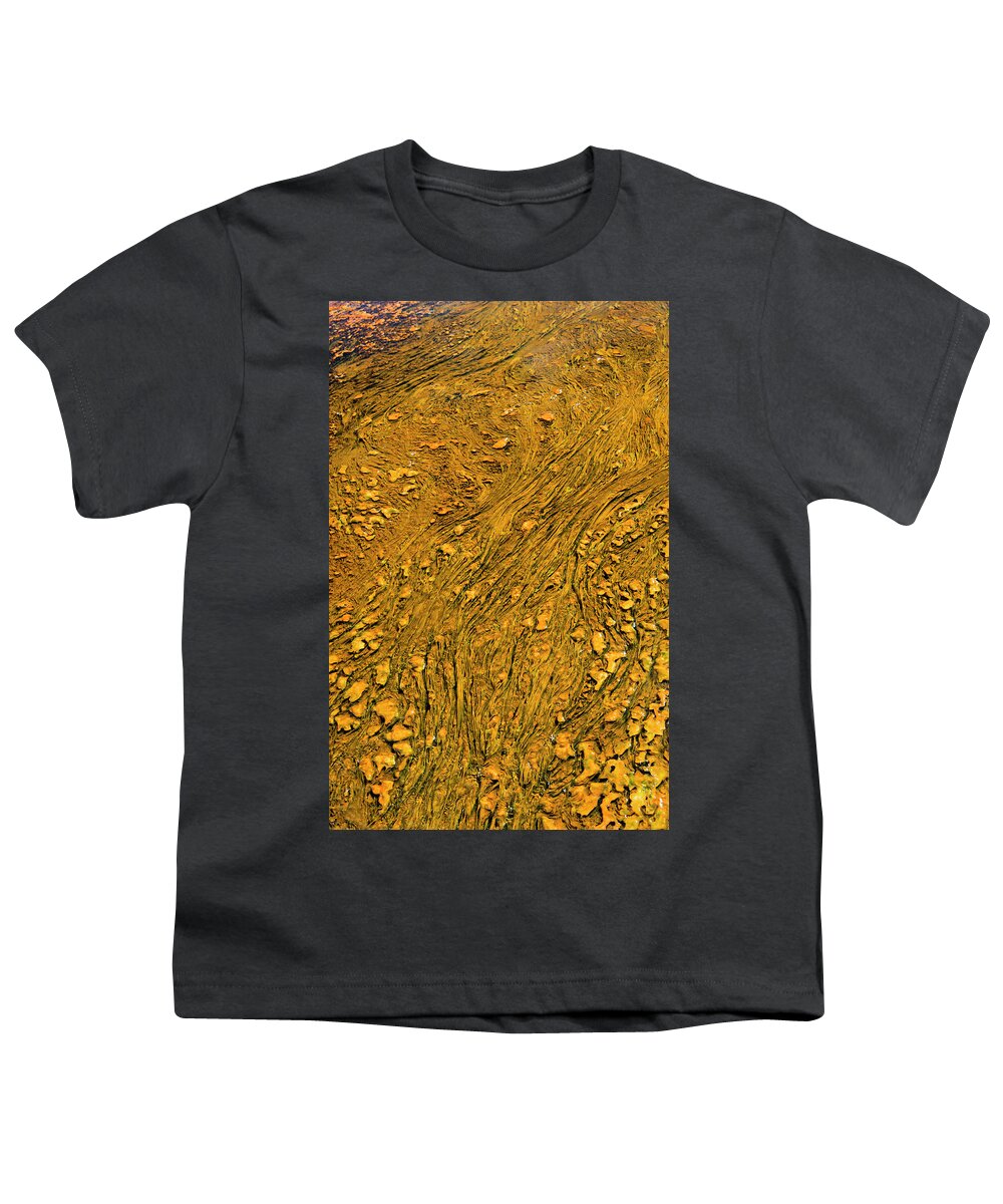 Wyoming Youth T-Shirt featuring the photograph Golden Threads by Norman Reid