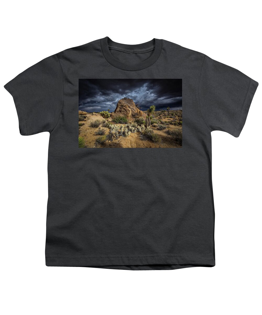 Agave Youth T-Shirt featuring the photograph Good vs Evil by Peter Tellone