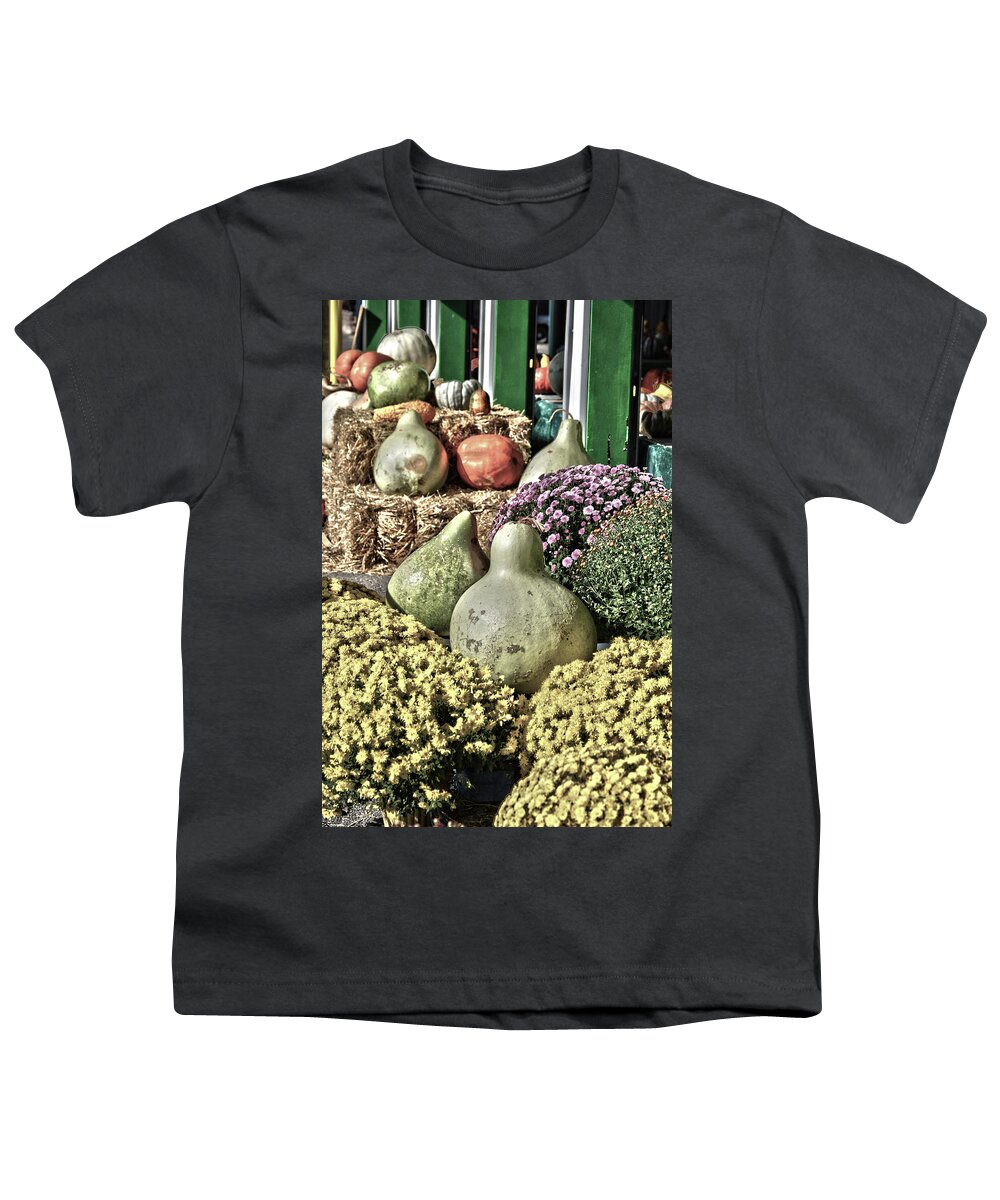 Pumpkin. Pumpkins Youth T-Shirt featuring the photograph Gourds on Display 2 by Lesa Fine