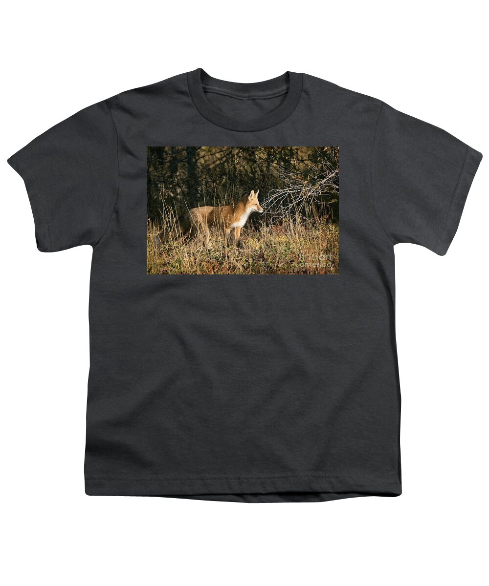 Grand Teton National Park Fox Youth T-Shirt featuring the photograph Grand Teton National Park Fox by Priscilla Burgers