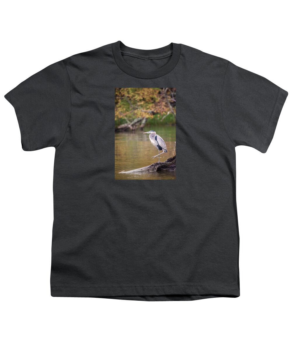 Bird Youth T-Shirt featuring the photograph Great Blue Heron by Don Johnson