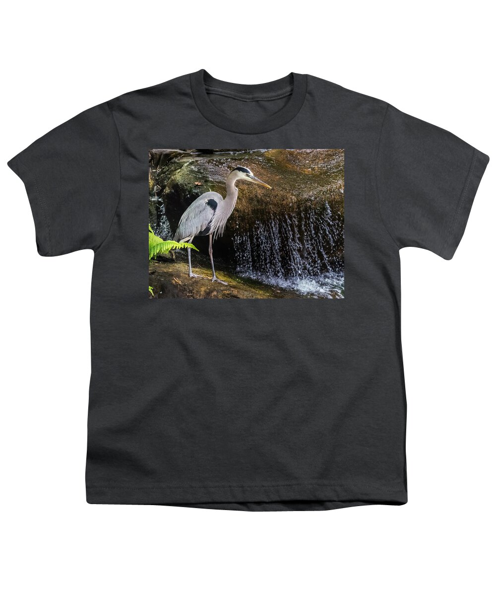 Nature Youth T-Shirt featuring the photograph Great Blue Heron by Ed Clark