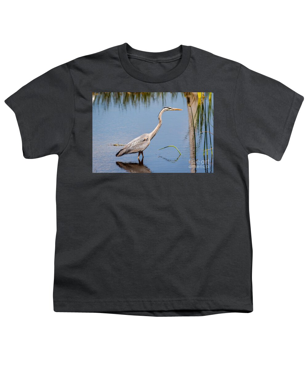 Blue Youth T-Shirt featuring the photograph Great Blue Heron by Les Greenwood