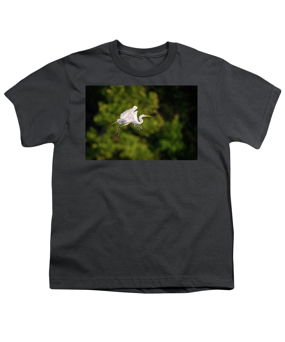 Great Egret (ardea Alba) Youth T-Shirt featuring the photograph Great Egret 3176 by Jeff Phillippi