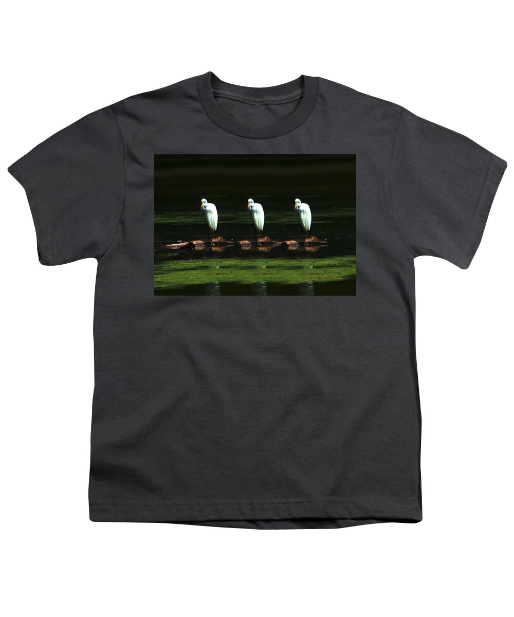 Great Egret Youth T-Shirt featuring the photograph Great Egret Art II by Ed Peterson