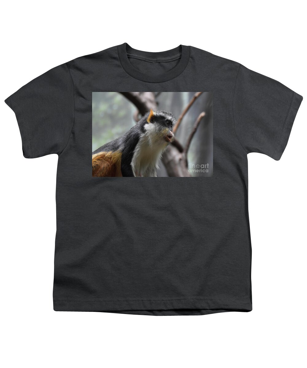 Monkey Youth T-Shirt featuring the photograph Great Profile of Wolf's Mona Monkey Sitting Down by DejaVu Designs