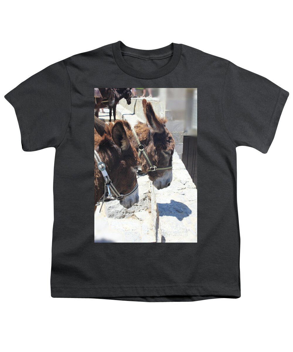 Greece Youth T-Shirt featuring the photograph Greece's Donkeys by Donna L Munro