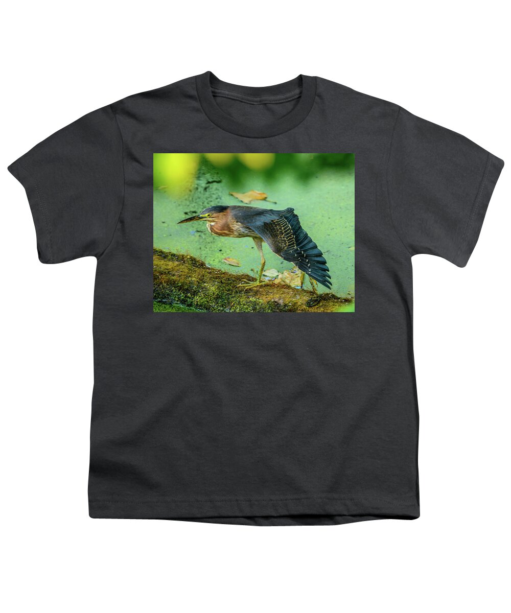 Green Heron Youth T-Shirt featuring the photograph Green Heron Wing by Jerry Cahill