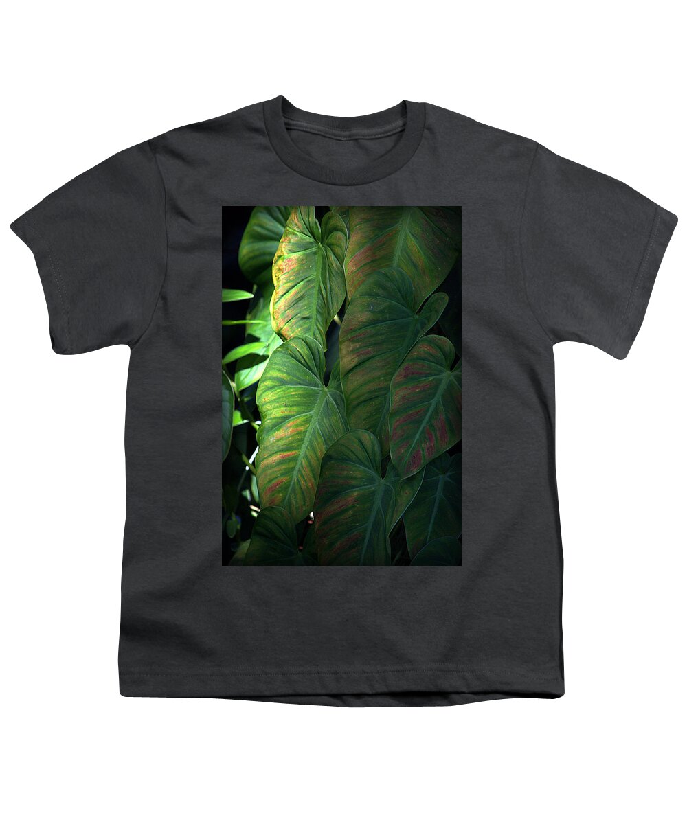 Hawaii Youth T-Shirt featuring the photograph Green Leaves At Akaka Falls by Lori Seaman