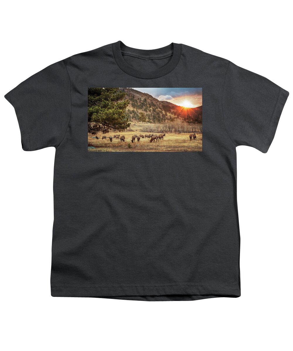 Elk Youth T-Shirt featuring the photograph Greeting a New Day by Susan Rissi Tregoning