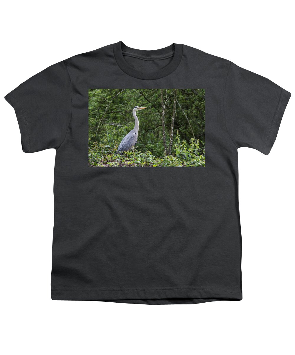 Grey Heron Youth T-Shirt featuring the photograph Grey Heron by Len Brook