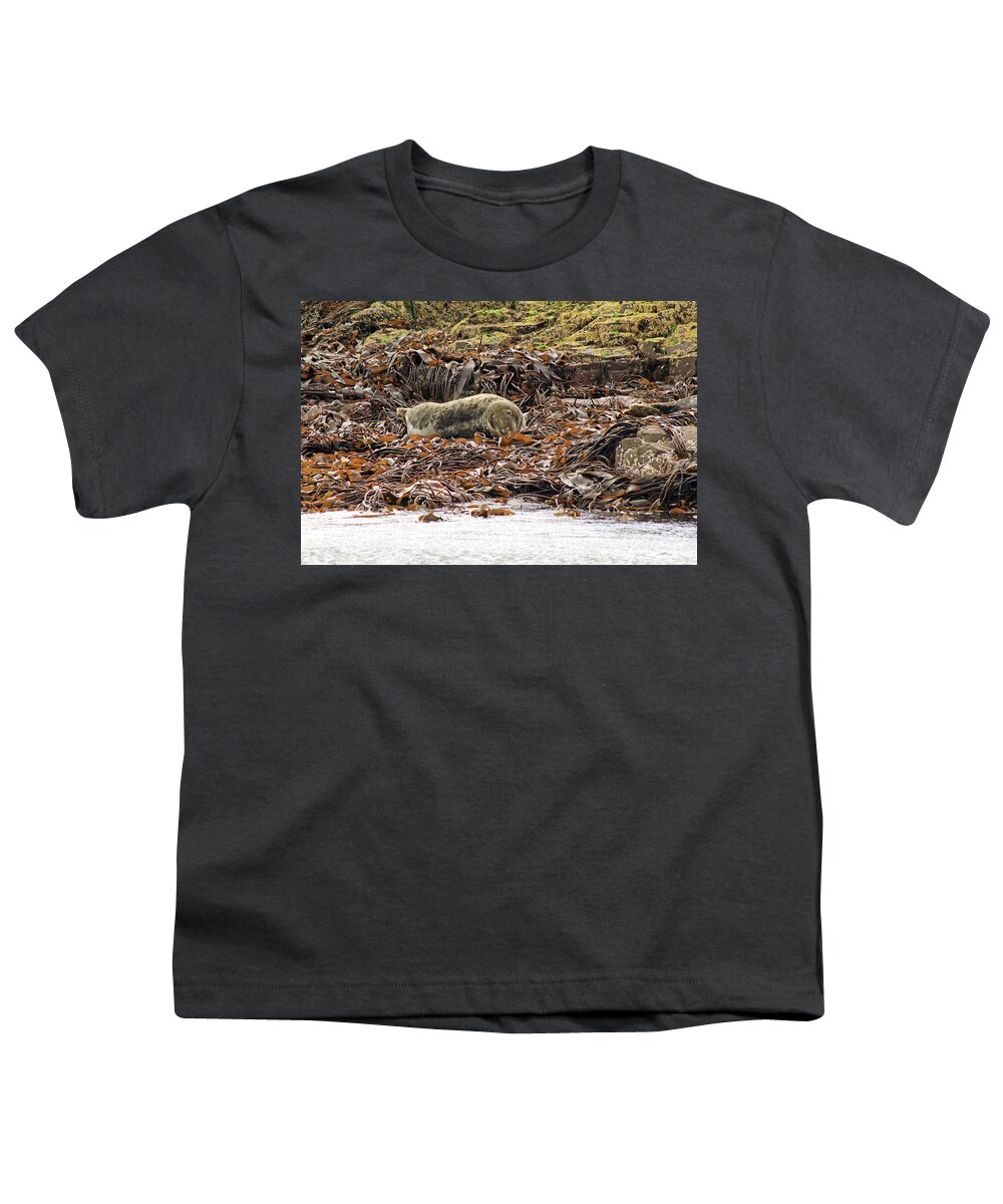 Harbour Seal Youth T-Shirt featuring the photograph Harbour Seal by Tony Murtagh