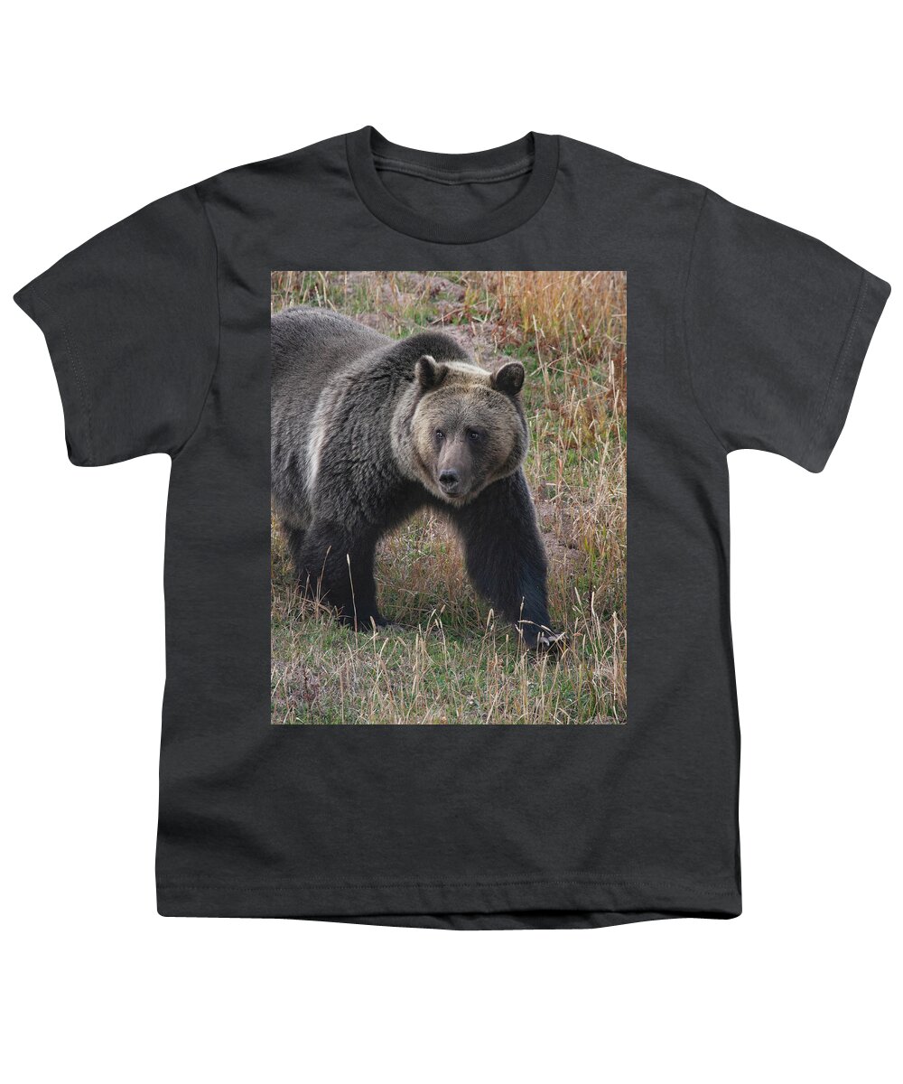 Mark Miller Photos. Grizzly Youth T-Shirt featuring the photograph Grizzly Bear in Fall by Mark Miller