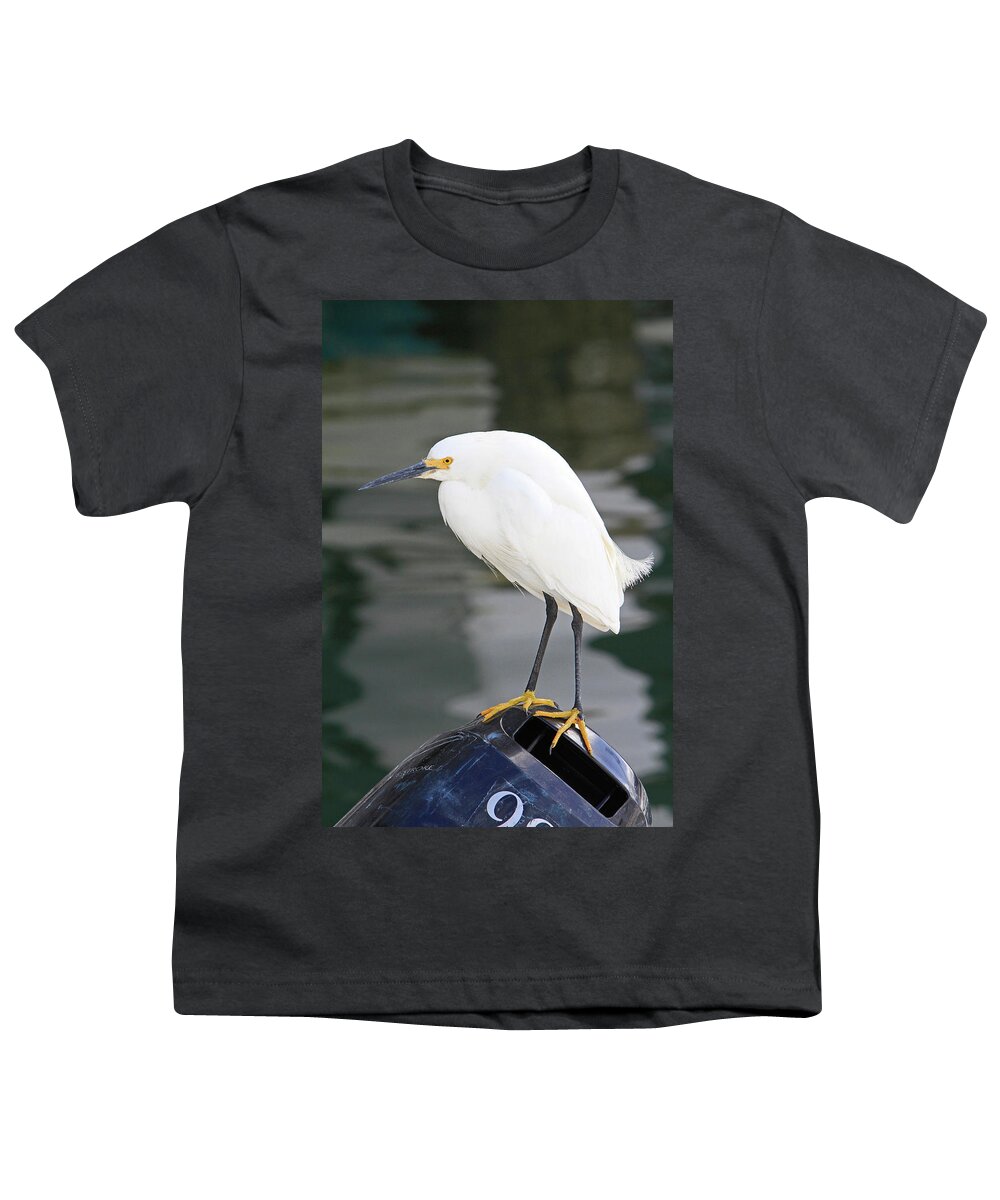 Egret Youth T-Shirt featuring the photograph Gru? by Shoal Hollingsworth