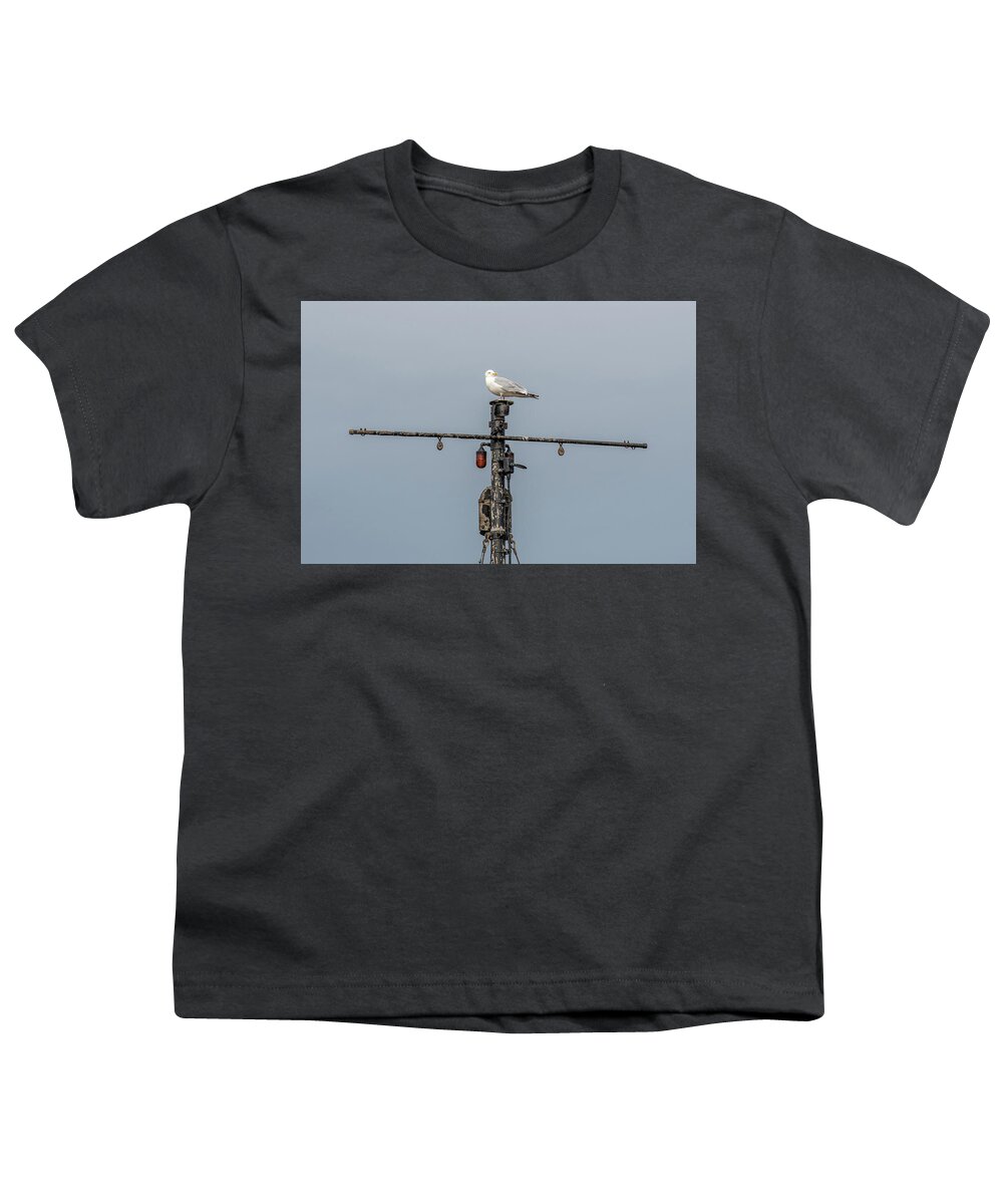 Gull Youth T-Shirt featuring the photograph Gull on A Mast by Paul Freidlund
