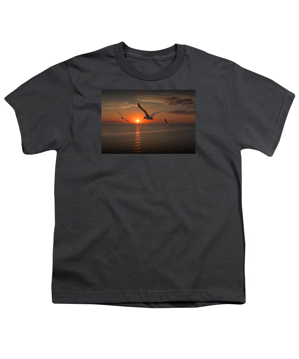 Gull Youth T-Shirt featuring the photograph Gulls Flying towards the Sun by Randall Nyhof