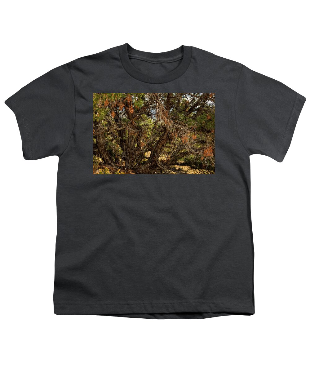 Nature Youth T-Shirt featuring the photograph Halloween Tree by Michael McKenney
