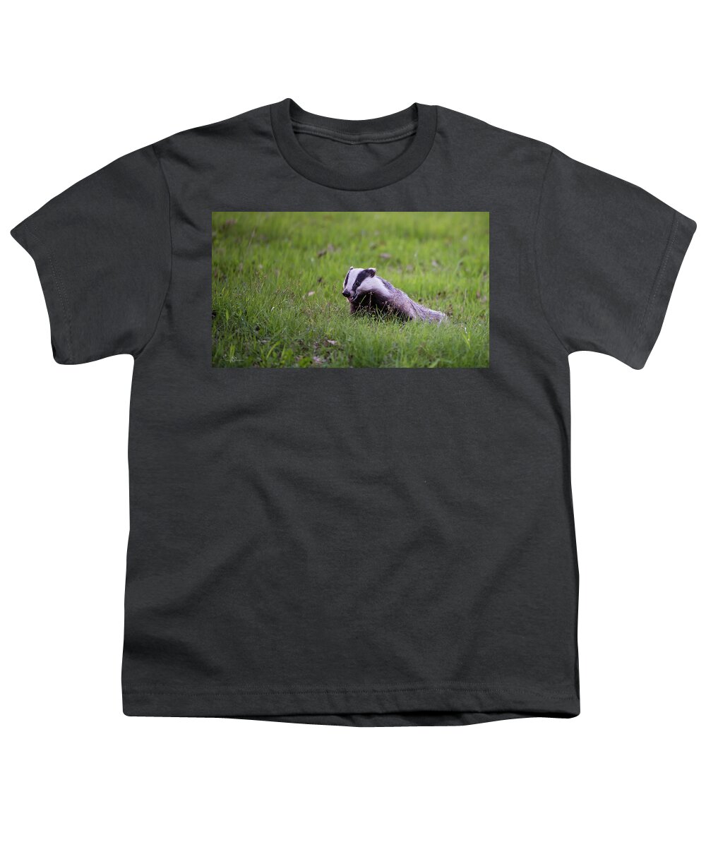 Eurasian Badger Youth T-Shirt featuring the photograph Happy Badger in the green grass by Torbjorn Swenelius