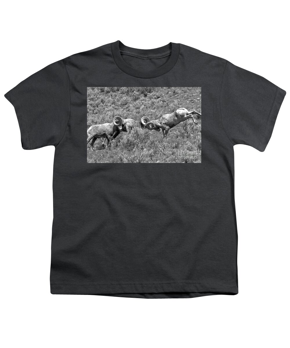 Bighorn Youth T-Shirt featuring the photograph Head To Head At Yellowstone 2018 Black And White by Adam Jewell