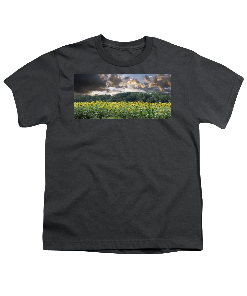 Sunflower Youth T-Shirt featuring the photograph Helianthus by Dale Powell
