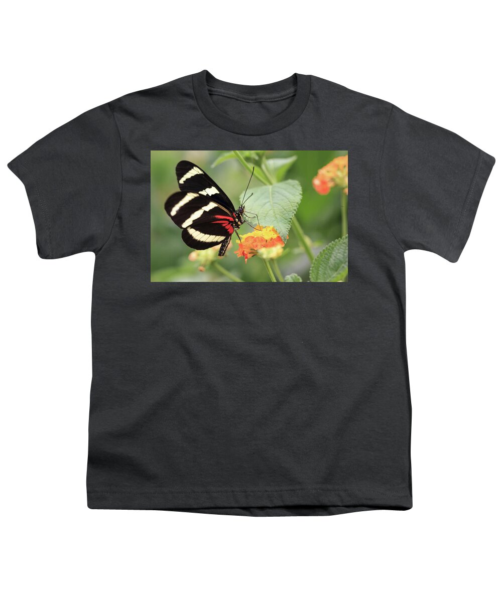 Red Youth T-Shirt featuring the photograph Heliconius Melpomene Butterfly by Tim Abeln