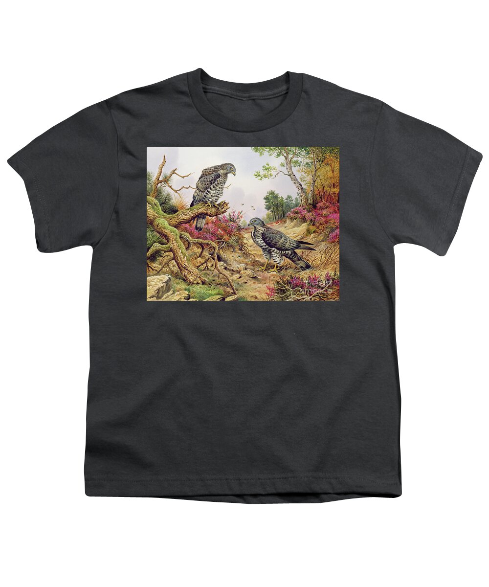 Buzzard Youth T-Shirt featuring the painting Honey Buzzards by Carl Donner