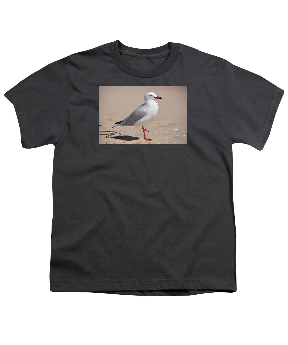 Photo Youth T-Shirt featuring the photograph Hop-Along Seagull by Csilla Florida