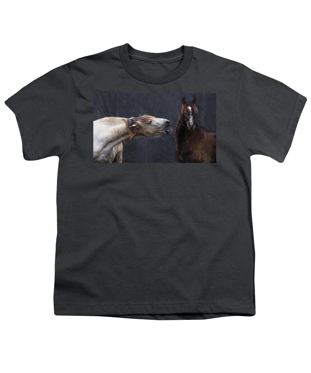 Horses Youth T-Shirt featuring the photograph The Scolding by Art Cole