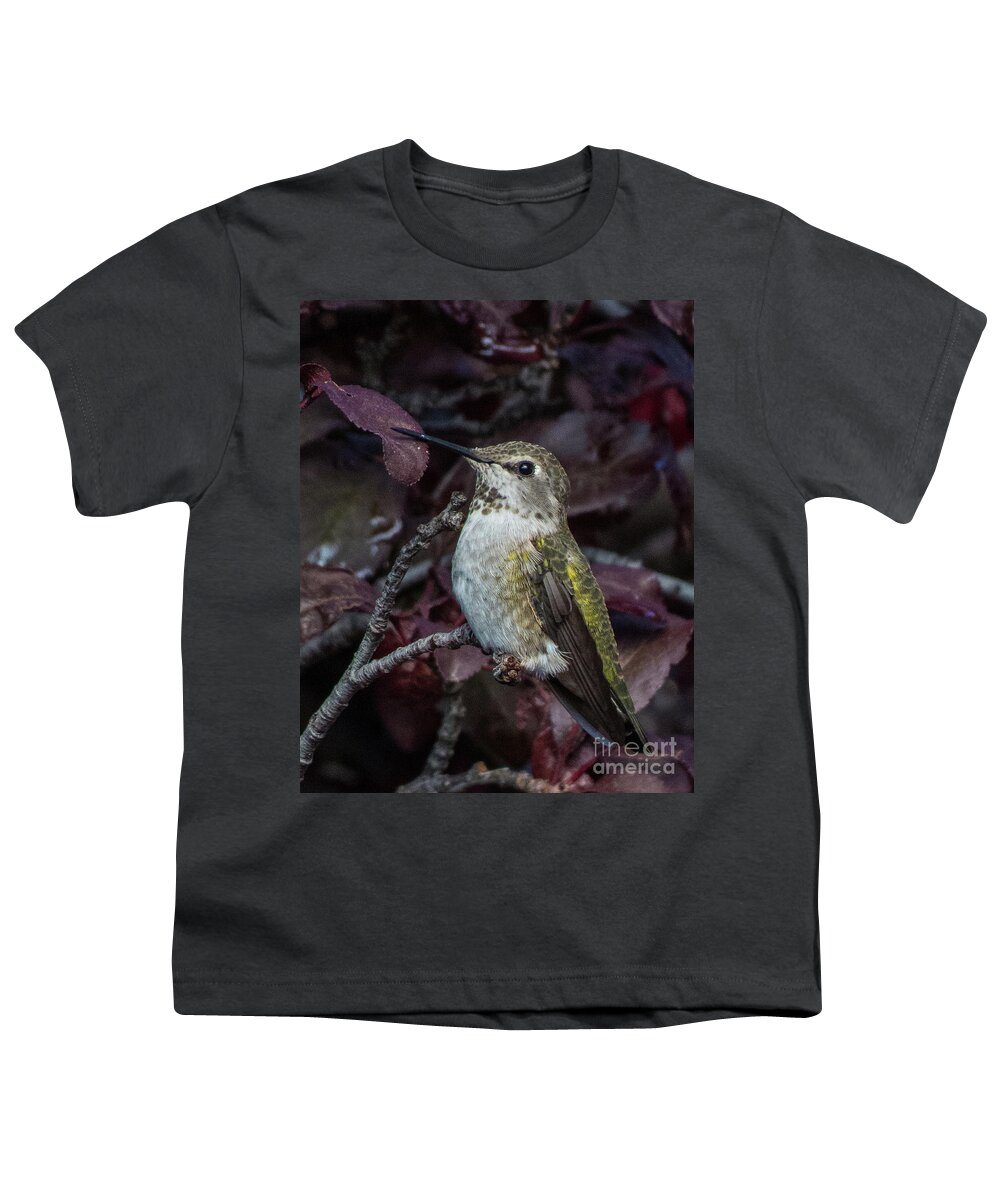 Hummingbird Youth T-Shirt featuring the photograph Hummingbird 4 by Christy Garavetto