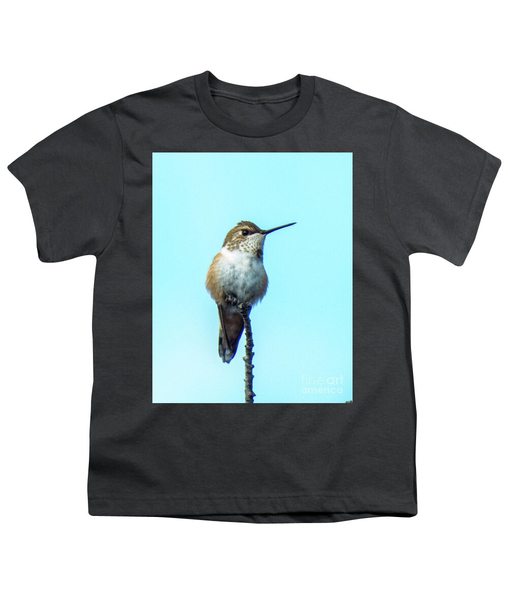 Hummingbird Youth T-Shirt featuring the photograph Hummingbird 8 by Christy Garavetto