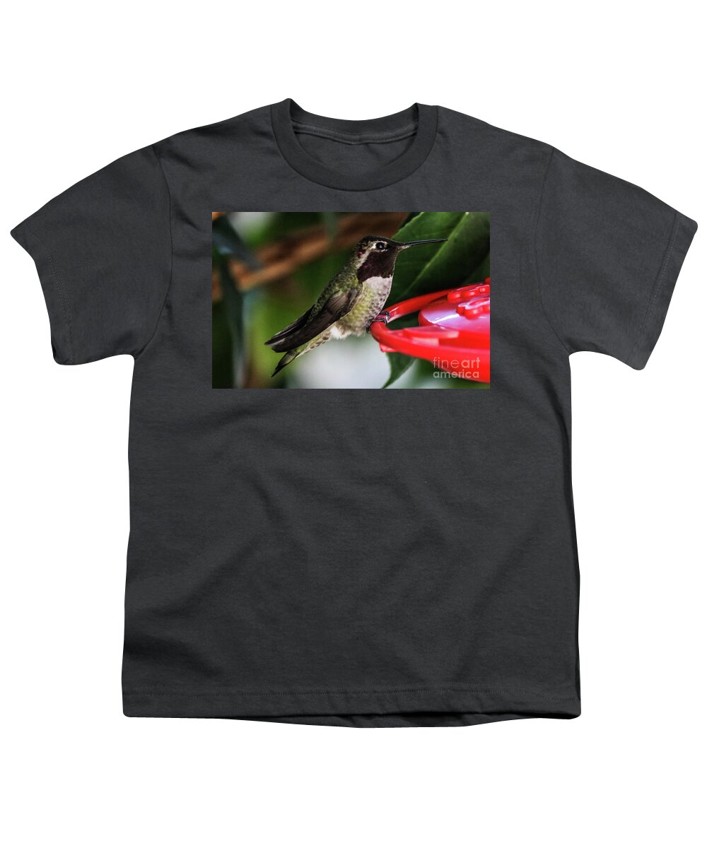 Hummingbird Youth T-Shirt featuring the photograph Hummingbird by Suzanne Luft