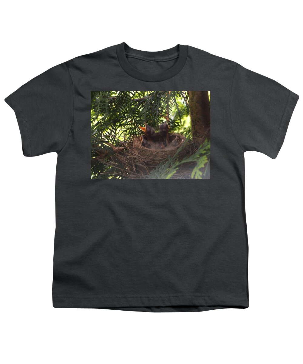Featured Youth T-Shirt featuring the photograph Hungry Babies by Stacie Siemsen