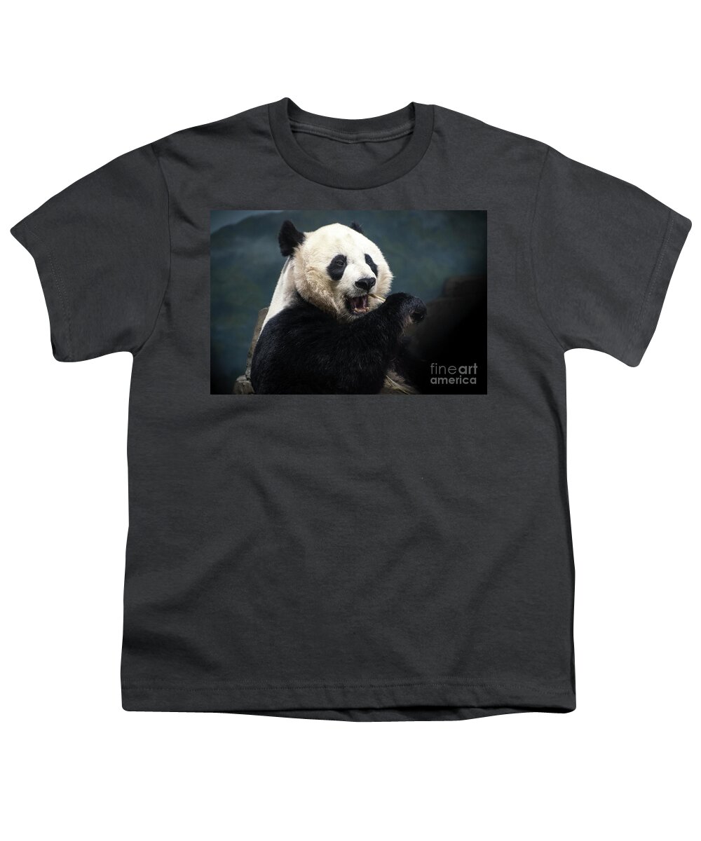 Washington Youth T-Shirt featuring the photograph Hungry Panda by Judy Wolinsky