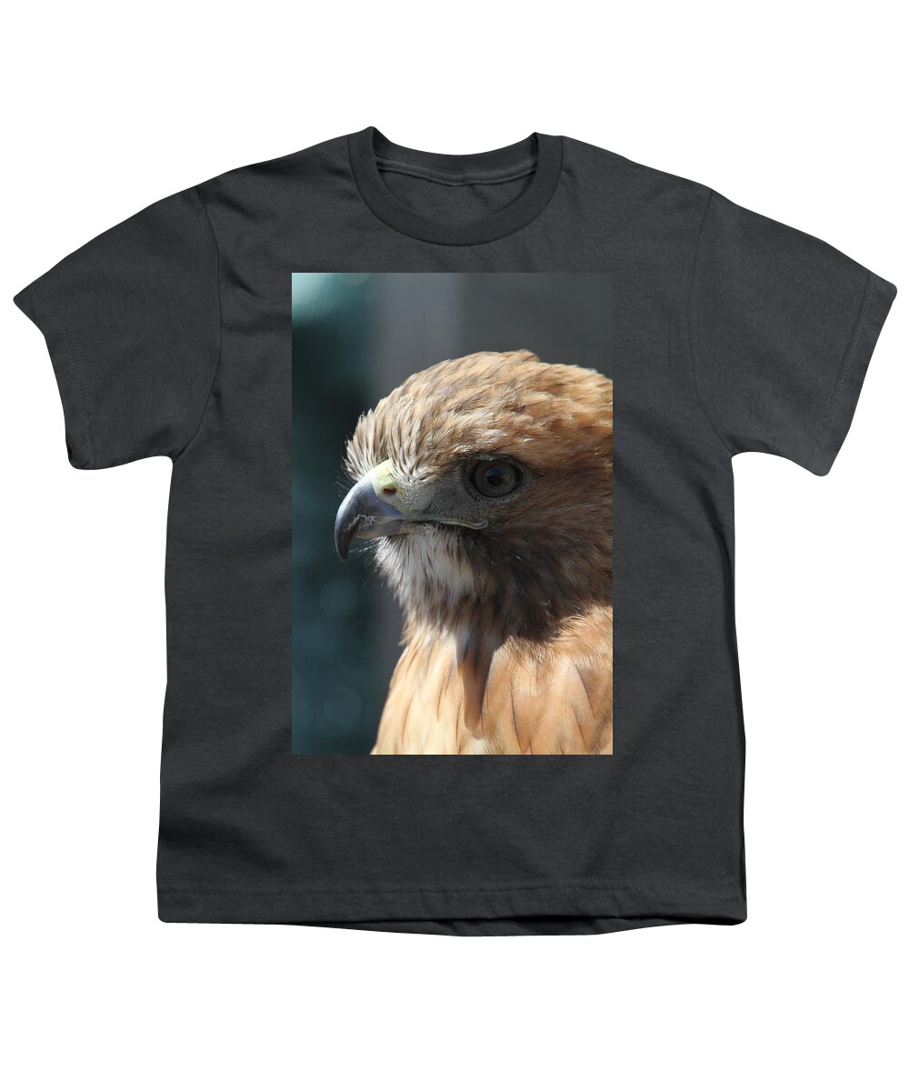 Hawk Youth T-Shirt featuring the photograph Hunter's Spirit by Laddie Halupa