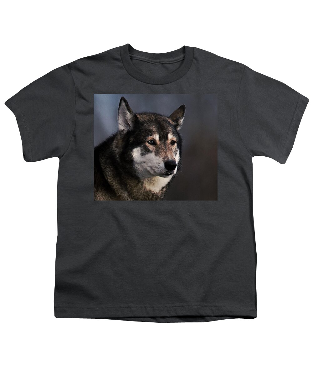 Husky Youth T-Shirt featuring the photograph Husky by Newwwman
