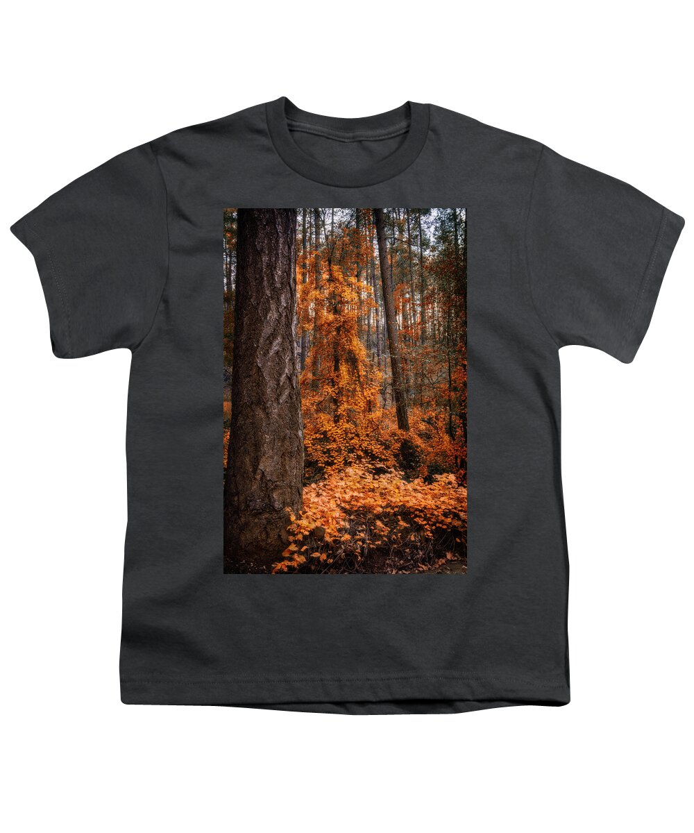Fall Colors Youth T-Shirt featuring the photograph I Love Fall by Saija Lehtonen