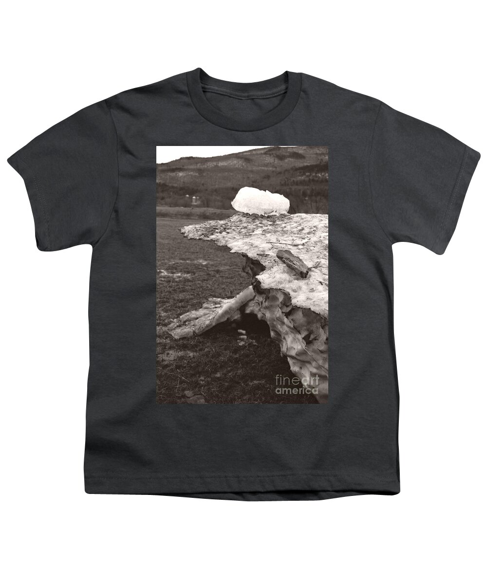  Youth T-Shirt featuring the photograph Iceberg Silo by Heather Kirk