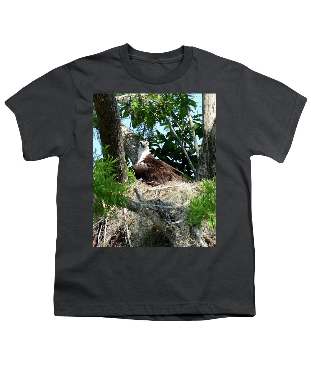 Osprey Youth T-Shirt featuring the photograph I'll Be Watching You by Carol Bradley
